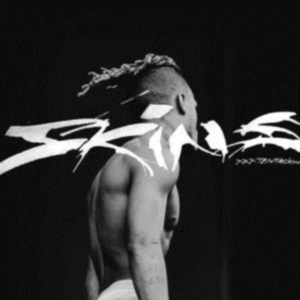 Xxxtentacion - Skins i gruppen VINYL hos Bengans Skivbutik AB (3510745)