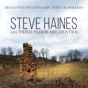 Steve Haines And The Third Flo - Steve Haines And The Third Floor Orchestra i gruppen CD hos Bengans Skivbutik AB (3510922)