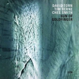 Torn David - Sun Of Goldfinger i gruppen Externt_Lager / Naxoslager hos Bengans Skivbutik AB (3512312)