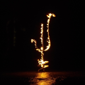 Demon Head - Hellfire Ocean Void i gruppen VINYL hos Bengans Skivbutik AB (3519926)