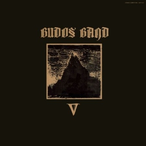 Budos Band - V i gruppen VINYL hos Bengans Skivbutik AB (3519996)