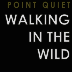 Point Quiet - Walking In The Wind i gruppen CD hos Bengans Skivbutik AB (3522498)