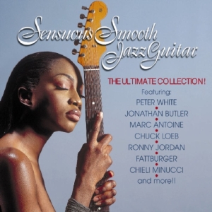 Blandade Artister - Sensuous Smooth Jazz Guitar i gruppen CD hos Bengans Skivbutik AB (3529590)