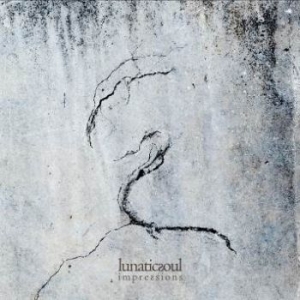Lunatic Soul - Impressions i gruppen CD hos Bengans Skivbutik AB (3532091)