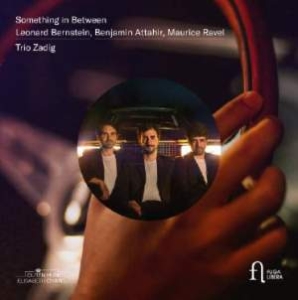 Attahir Benjamin Bernstein Leona - Something In Between i gruppen CD hos Bengans Skivbutik AB (3532472)