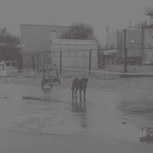 Nivhek - After Its Own Death/Walking i gruppen Annet / hos Bengans Skivbutik AB (3542430)