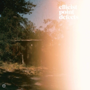 Ellicist - Point Defects i gruppen Annet /  hos Bengans Skivbutik AB (3542488)