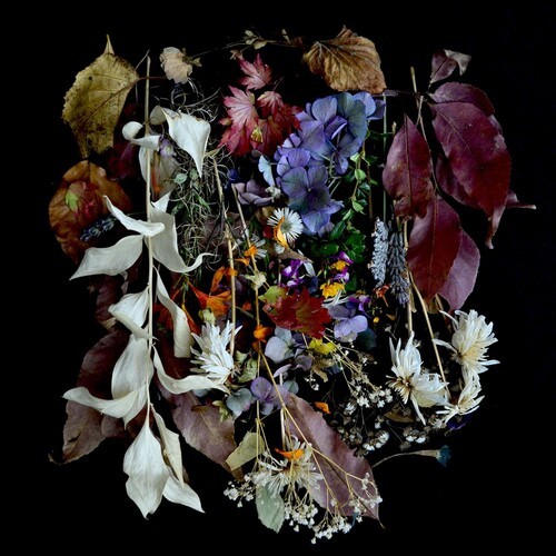 Paws - Your Church On My Bonfire i gruppen VINYL / Toppselgere hos Bengans Skivbutik AB (3544997)