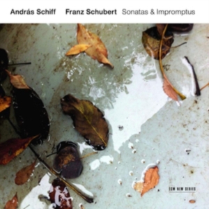 Schubert Franz - Sonatas & Impromptus i gruppen CD hos Bengans Skivbutik AB (3546828)