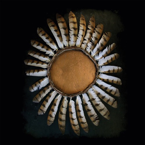 Fauna - Avifauna i gruppen CD / Metal/ Heavy metal hos Bengans Skivbutik AB (3549688)