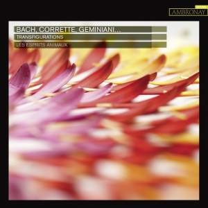 Les Esprits Animaux - Transfigurations i gruppen CD hos Bengans Skivbutik AB (3552085)