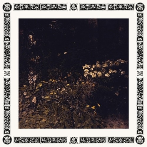 Sarah Davachi - Pale Bloom i gruppen CD / Rock hos Bengans Skivbutik AB (3555434)