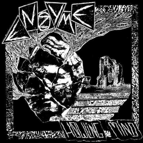 Enzyme - Howling Mind i gruppen VINYL / Rock hos Bengans Skivbutik AB (3555468)
