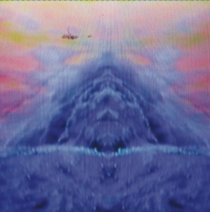 Tvam - No Silver Bird i gruppen VINYL / Pop-Rock hos Bengans Skivbutik AB (3555882)