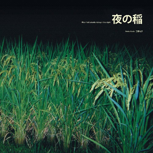 Kudo Reiko - Rice Field Silently Riping In The N i gruppen VINYL / Toppselgere hos Bengans Skivbutik AB (3565455)