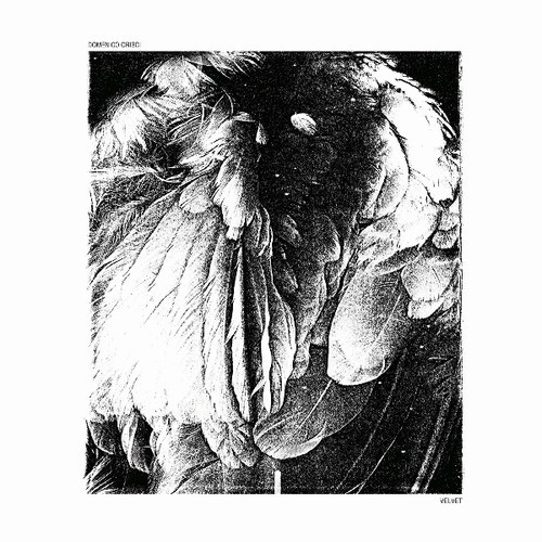 Crisci Domenico - Velvet i gruppen VINYL / Pop hos Bengans Skivbutik AB (3565526)