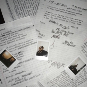 Xxxtentacion - 17 i gruppen VINYL hos Bengans Skivbutik AB (3577178)