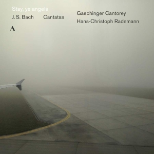 Bach J S - Stay, Ye Angels: Cantatas i gruppen CD hos Bengans Skivbutik AB (3597441)