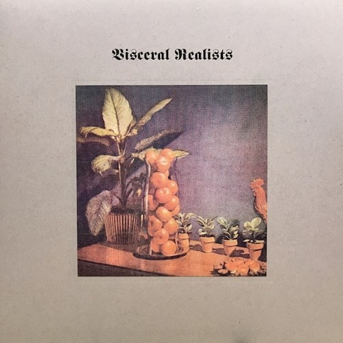 Russell Bruce & Luke Wood - Visceral Realists i gruppen VINYL / Rock hos Bengans Skivbutik AB (3599425)