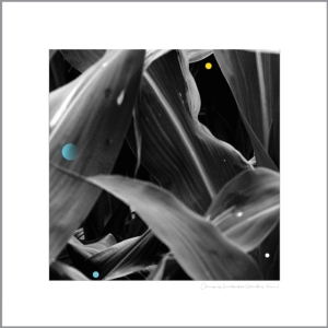 King Arthur - Changing Landscapes i gruppen VINYL hos Bengans Skivbutik AB (3599463)