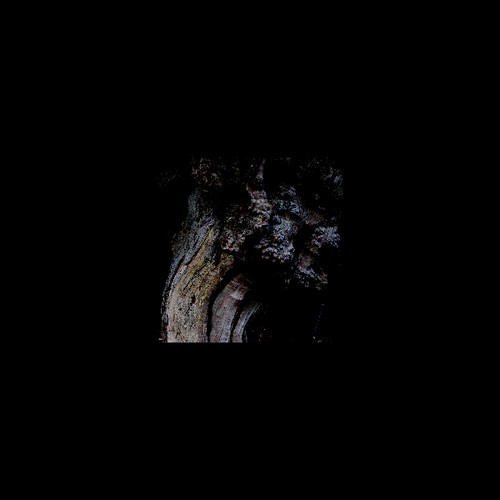 Brunnen - Garden Of Perpetual Dreams i gruppen VINYL / Rock hos Bengans Skivbutik AB (3623575)