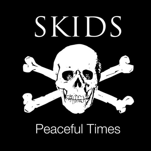 Skids - Peaceful Times i gruppen VINYL / Rock hos Bengans Skivbutik AB (3636462)