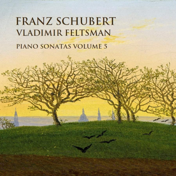 Schubert Franz - Piano Sonatas, Vol. 5 i gruppen CD / Toppselgere hos Bengans Skivbutik AB (3637453)