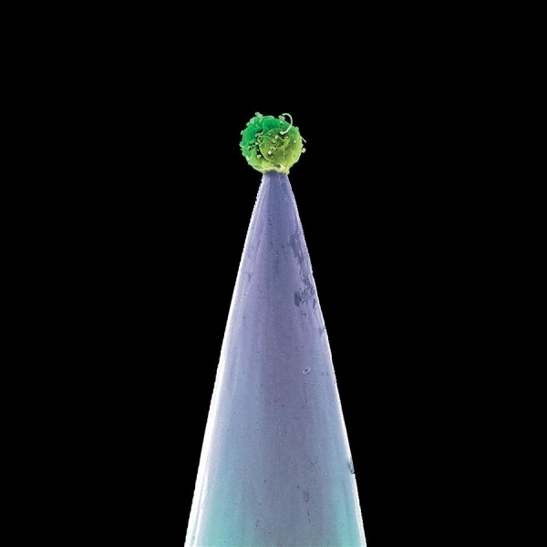 Peter Gabriel - New Blood i gruppen Minishops / Peter Gabriel hos Bengans Skivbutik AB (3639630)