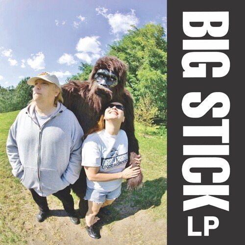 Big Stick - Lp i gruppen CD / Toppselgere hos Bengans Skivbutik AB (3644911)
