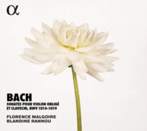 Bach J S - Sonatas For Violin And Harpsichord, i gruppen CD hos Bengans Skivbutik AB (3651144)