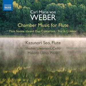 Weber C M Von - Chamber Music For Flute i gruppen CD hos Bengans Skivbutik AB (3651185)