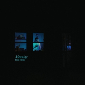 Field Mouse - Meaning i gruppen VINYL hos Bengans Skivbutik AB (3653996)
