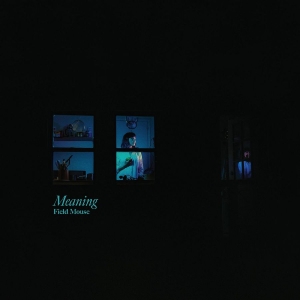 Field Mouse - Meaning i gruppen CD hos Bengans Skivbutik AB (3653997)