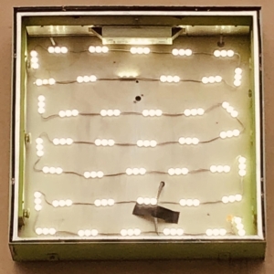 Oso Oso - Basking In The Glow i gruppen CD hos Bengans Skivbutik AB (3654019)