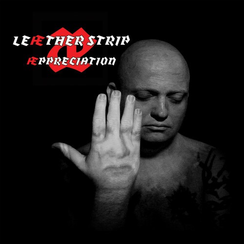 Leather Strip - Aeppreciation (Red) i gruppen VINYL / Rock hos Bengans Skivbutik AB (3654137)