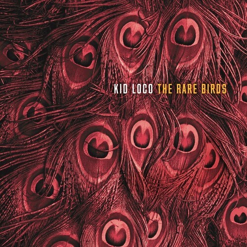 Kid Loco - Rare Birds i gruppen VINYL / Dans/Techno hos Bengans Skivbutik AB (3656214)