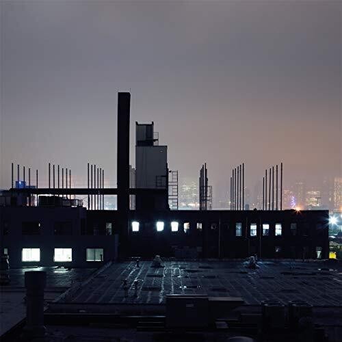 Seeland Remo - Hollow Body i gruppen VINYL / Rock hos Bengans Skivbutik AB (3656924)