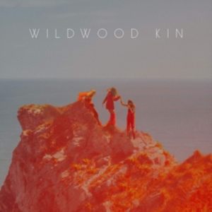 Wildwood Kin - Wildwood Kin i gruppen CD hos Bengans Skivbutik AB (3657302)