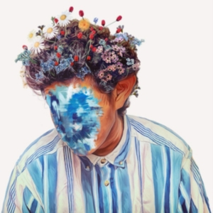 Hobo Johnson - The Fall Of Hobo Johnson i gruppen CD hos Bengans Skivbutik AB (3658280)