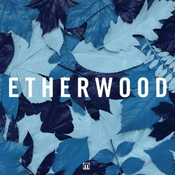 Etherwood - Blue Leaves i gruppen CD / Toppselgere hos Bengans Skivbutik AB (3659197)