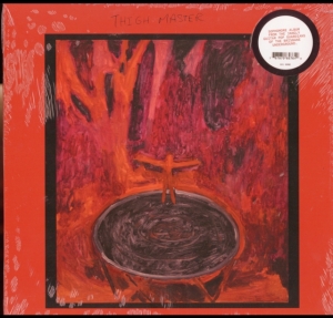 Thigh Master - Now For Example i gruppen VINYL hos Bengans Skivbutik AB (3661861)