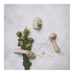 Red Steppes - A Mouth May Grow i gruppen VINYL hos Bengans Skivbutik AB (3664619)