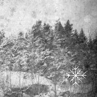 Nocturnalia - Iii Winter Lp Clear i gruppen -Start Max hos Bengans Skivbutik AB (3665892)