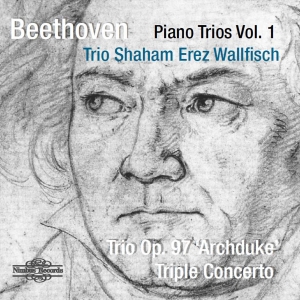 Beethoven Ludwig Van - Piano Trios Vol. 1: Archduke Trio & i gruppen CD hos Bengans Skivbutik AB (3665962)
