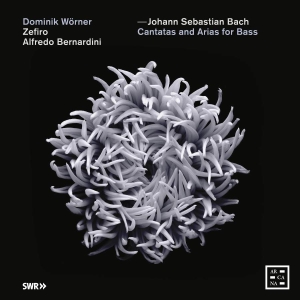 Bach J S - Cantatas And Arias For Bass i gruppen Externt_Lager / Naxoslager hos Bengans Skivbutik AB (3665970)