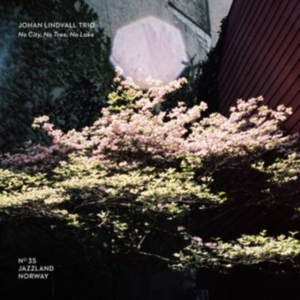 Lindvall Johan (Trio) - No City, No Tree, No Lake i gruppen CD hos Bengans Skivbutik AB (3669277)