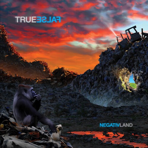 Negativland - True False i gruppen CD / Rock hos Bengans Skivbutik AB (3669286)