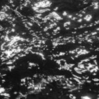 Grouper - Aia: Dream Loss i gruppen VINYL hos Bengans Skivbutik AB (3669292)