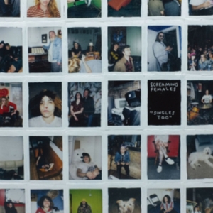 Screaming Females - Singles Too i gruppen VINYL hos Bengans Skivbutik AB (3670174)