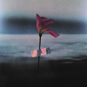 Samson Will - Paralanguage (Clear Vinyl) i gruppen VINYL hos Bengans Skivbutik AB (3672881)